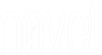 Novel
